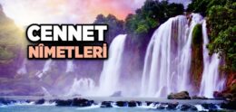 Cennet Nimetleri