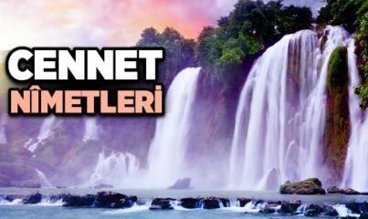 Cennet Nimetleri