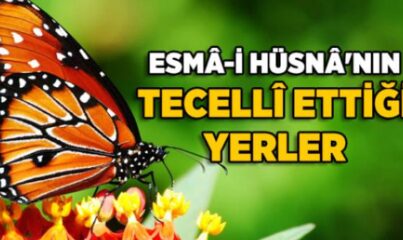 Esmaül Hüsna’nın Tecelli Ettiği Yerler