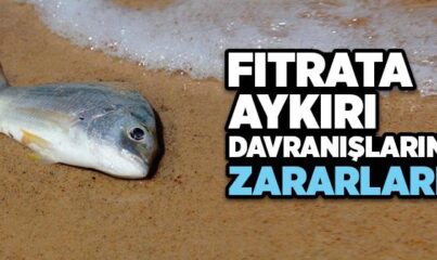 Fıtrata Aykırı Davranışların Zararları