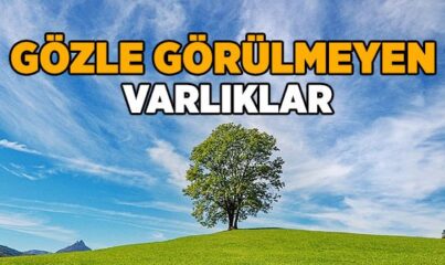 Gözle Görülemeyen Varlıklar Nelerdir?