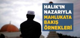 Halık’ın Nazarıyla Mahlukata Bakış Örnekleri