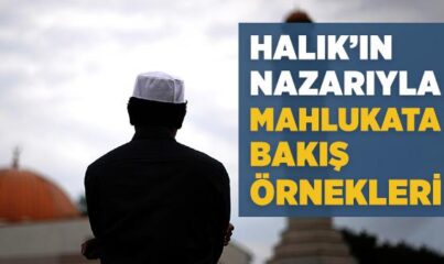 Halık’ın Nazarıyla Mahlukata Bakış Örnekleri