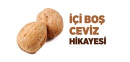 İçi Boş Ceviz Hikayesi