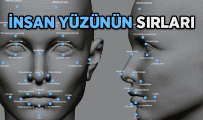 İnsan Yüzünün Sırları