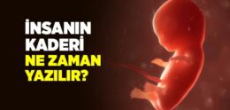 İnsanın Kaderi Ne Zaman Yazılır?