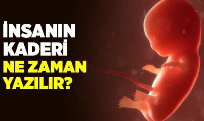 İnsanın Kaderi Ne Zaman Yazılır?