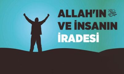 İrade Nedir, Kaça Ayrılır?