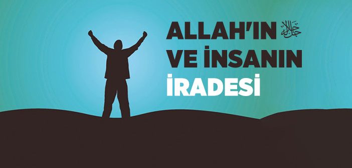 İrade Nedir, Kaça Ayrılır?