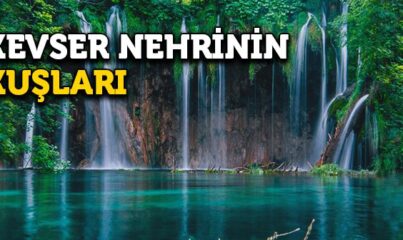 Kevser Nehrinin Kuşları