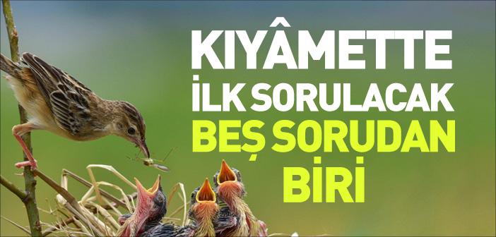 Kıyâmette İlk Sorulacak Beş Sorudan Biri