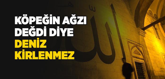 Köpeğin Ağzı Değdi Diye Deniz Kirlenmez