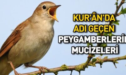 Kur’an’da Peygamberler Nasıl Anlatılmıştır?