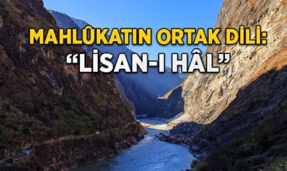 Mahlûkatın Ortak Dili: “Lisân-ı Hâl”