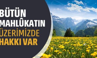 Mahlukatın Hakkı