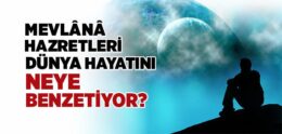 Mevlana Hazretleri Dünya Hayatını Neye Benzetiyor?