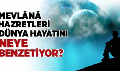 Mevlana Hazretleri Dünya Hayatını Neye Benzetiyor?