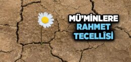 Mü’minlere Rahmet Tecellîsi