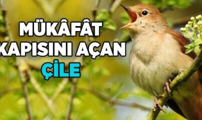 Mükafat Kapısını Açan Çile