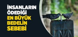 Müminin Allah’a Muhabbeti Nasıl Olur?