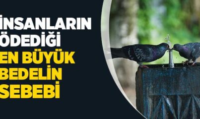 Müminin Allah’a Muhabbeti Nasıl Olur?