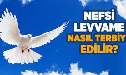 Nefs-i Levvame Nedir?