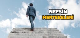 Nefsin Mertebeleri