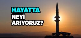 Neyi Arıyoruz?