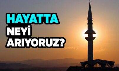 Neyi Arıyoruz?