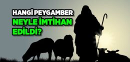 Peygamberlerin İmtihanları