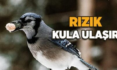 Rızık Kula Ulaşır