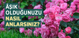 Âşık Olduğunuzu Nasıl Anlarsınız?