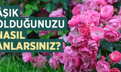 Âşık Olduğunuzu Nasıl Anlarsınız?