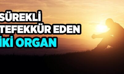 Sürekli Tefekkür Eden İki Organ