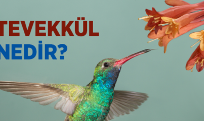 Tevekkül Nedir?