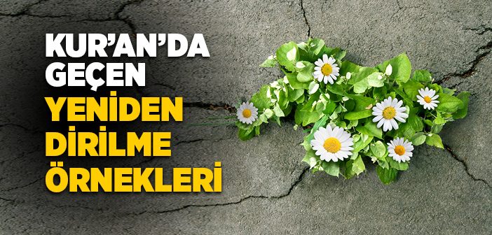 Yeniden Diriliş Nasıl Olacak?