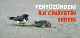 Yeryüzündeki İlk Cinâyetin Sebebi