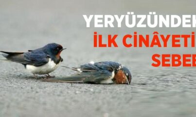 Yeryüzündeki İlk Cinâyetin Sebebi