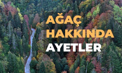 Ağaç ile İlgili Ayetler