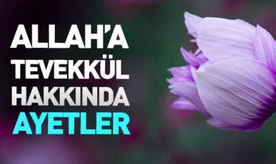 Allah’a Tevekkül ile İlgili Ayetler