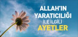 Allah’ın Yaratıcılığı ile İlgili Ayetler