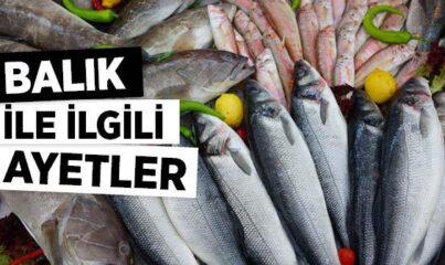 Balık ile İlgili Ayetler