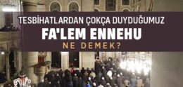 Fa’lem Ennehu Ne Demek?