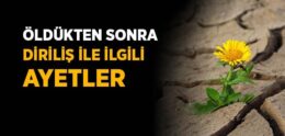 Öldükten Sonra Diriliş ile İlgili Ayetler