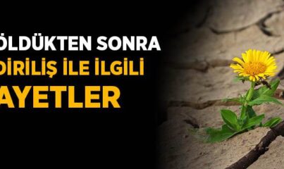 Öldükten Sonra Diriliş ile İlgili Ayetler